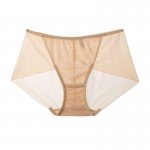 Beige Sexy Meshy Hiphugger Panty